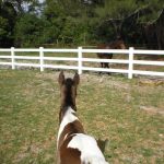 万博体育登陆铁路三线可回收性American可回收性